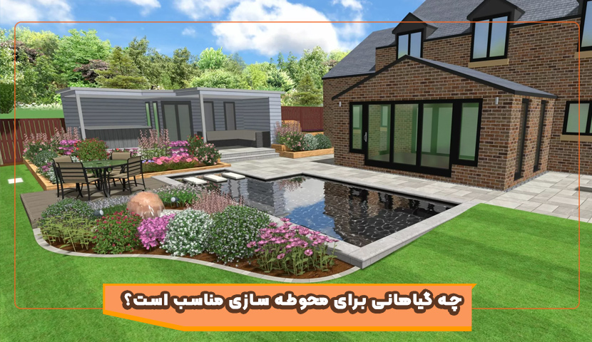 چه گیاهانی برای محوطه سازی مناسب است؟