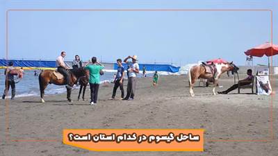 ساحل گیسوم در کدام استان است؟