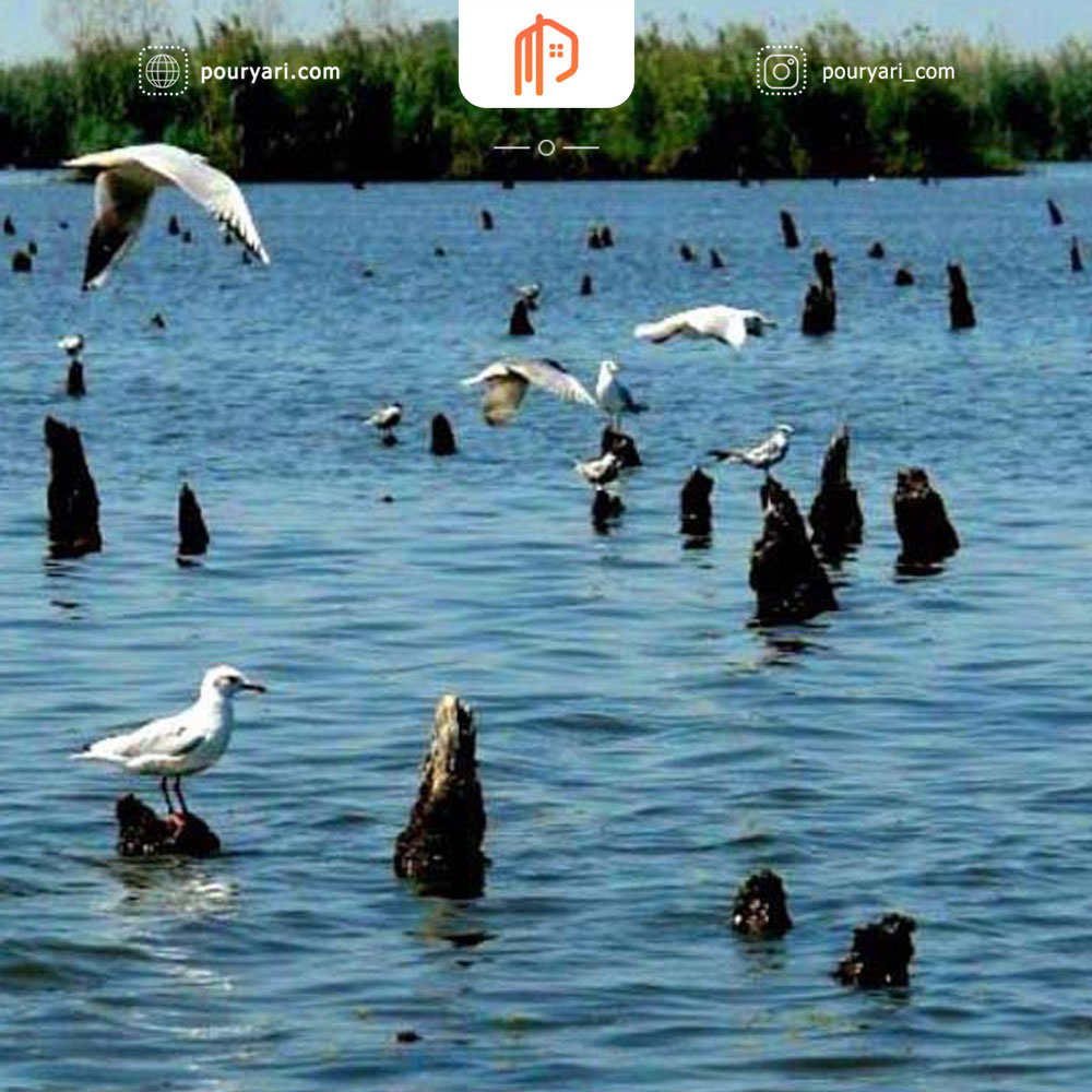 پناهگاه حیات وحش سرخانکل کجاست
