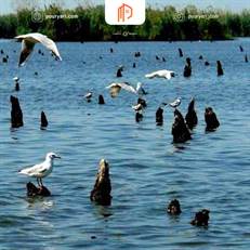 پناهگاه حیات وحش سرخانکل در تالاب انزلی، زیستگاه نیلوفرهای آبی و پرندگان مهاجر است. این منطقه حفاظت شده با طبیعت بکر و گونه‌های جانوری منحصربفرد، از جاذبه‌های مهم اکوتوریسم شمال ایران محسوب می‌شود.