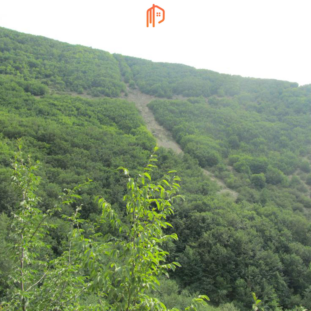روستای صفرا بسته استان گیلان